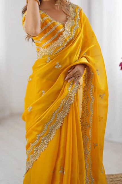 ইন্ডিয়ান জেমিচু ফ্যাব্রিক শাড়ি